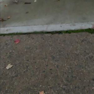 Meet your Posher, May